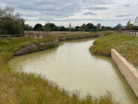 East West Greenspace – Horsham